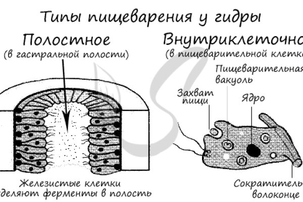 Kraken дарк магазин