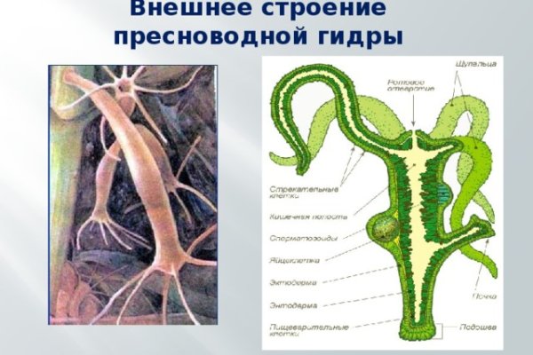 Кракен наркомаркетплейс